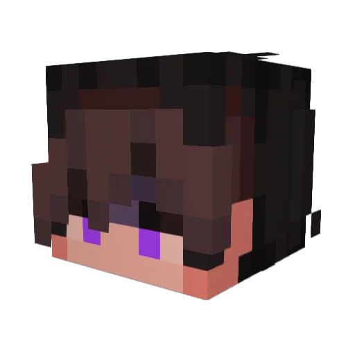 BIGMANSUPERLOVER Minecraft avatar head, 3D render