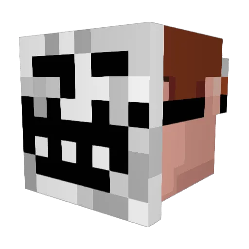 BIGOBAMA69420 Minecraft avatar head, 3D render