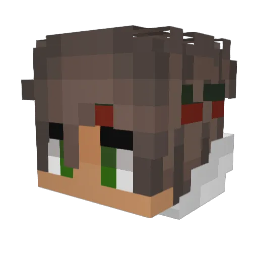 BIGSPENDER19 Minecraft avatar head, 3D render