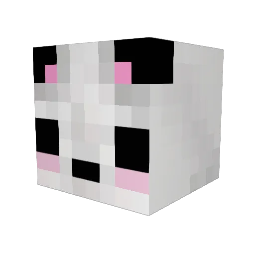 BIG__SNOUT Minecraft avatar head, 3D render