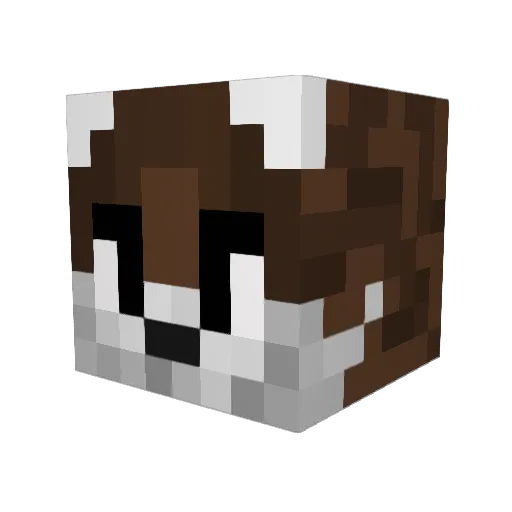 BILLCAJU Minecraft avatar head, 3D render