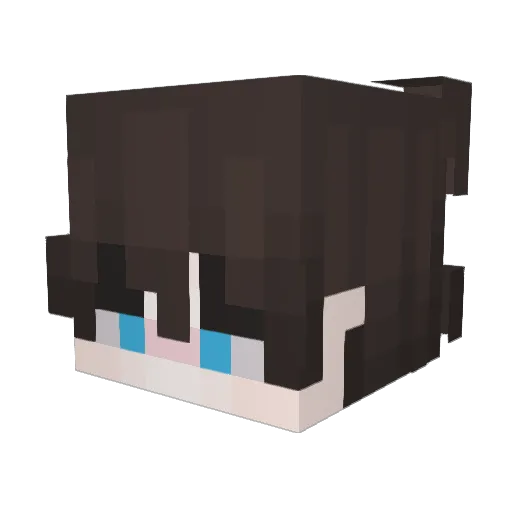 BILLY593 Minecraft avatar head, 3D render