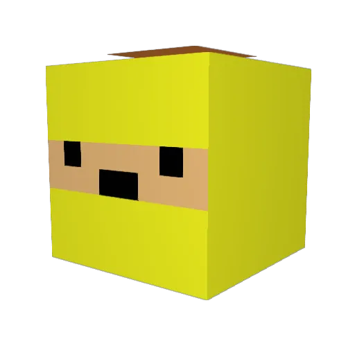BIOCD Minecraft avatar head, 3D render