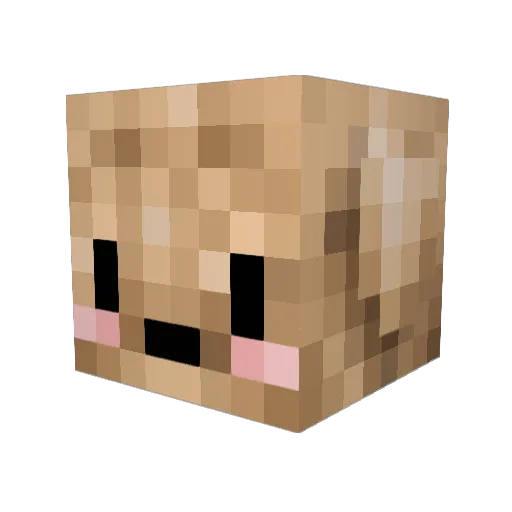 BIRDDOG7897 Minecraft avatar head, 3D render