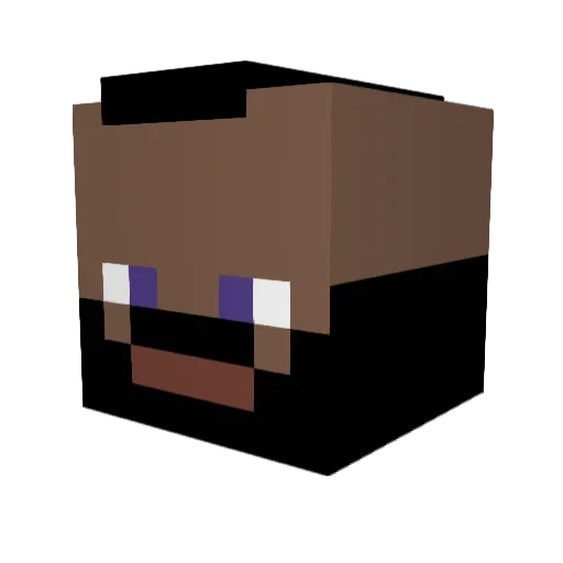 BIT0GN0 Minecraft avatar head, 3D render