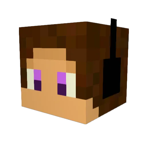 BITNW Minecraft avatar head, 3D render