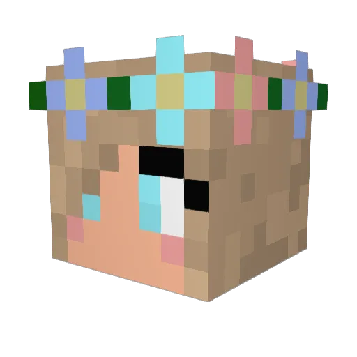 BIZZY2005 Minecraft avatar head, 3D render