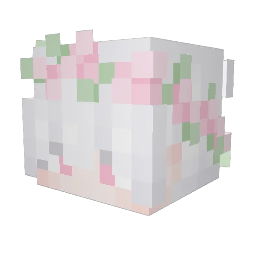 BI_shen Minecraft avatar head, 3D render