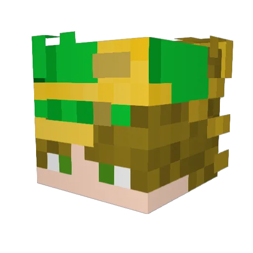 BIack_nightmare Minecraft avatar head, 3D render