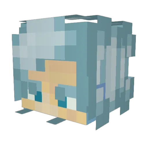 BIizz_ard Minecraft avatar head, 3D render