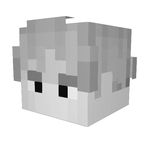 BJBraiden Minecraft avatar head, 3D render