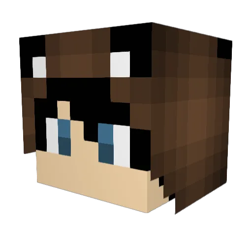 BJFowLer Minecraft avatar head, 3D render