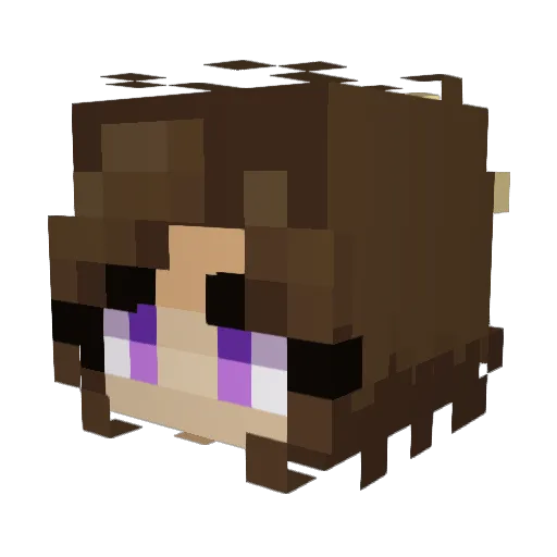 BJPhillips Minecraft avatar head, 3D render
