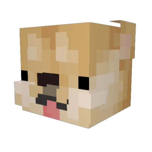 BJ_Pio Minecraft avatar head, 3D render