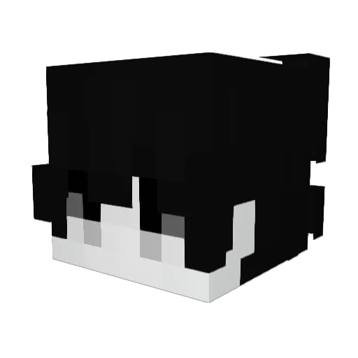 BJ_will Minecraft avatar head, 3D render