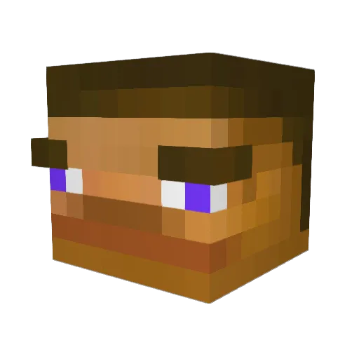 BJ_woo Minecraft avatar head, 3D render