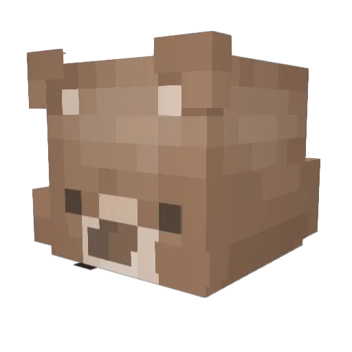 BKAK Minecraft avatar head, 3D render