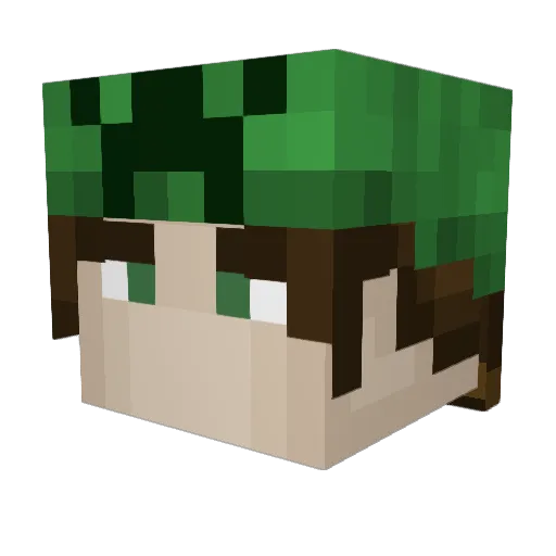 BKNTD Minecraft avatar head, 3D render