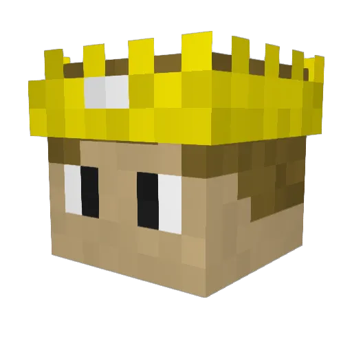 BKing226 Minecraft avatar head, 3D render