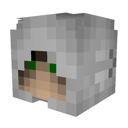 BKing321 Minecraft avatar head, 3D render