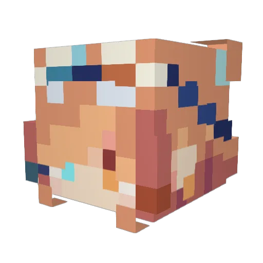 BL0R4NG325 Minecraft avatar head, 3D render