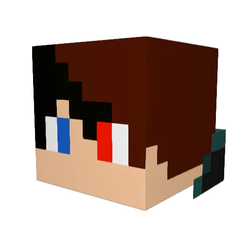 BLACKB11RD Minecraft avatar head, 3D render