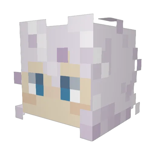 BLACKEDoCOM Minecraft avatar head, 3D render