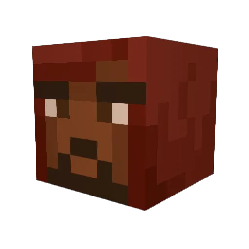 BLACKELITE095 Minecraft avatar head, 3D render