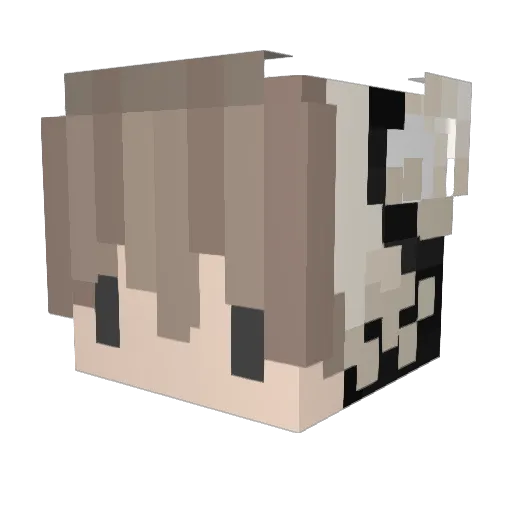 BLACKEVOLVE Minecraft avatar head, 3D render