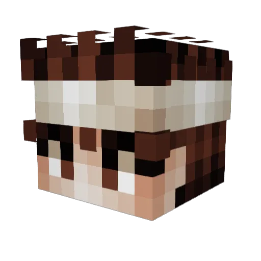 BLACKJACK0021 Minecraft avatar head, 3D render