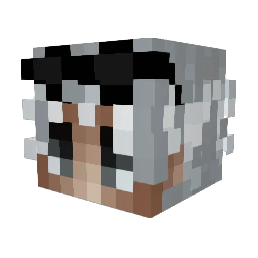 BLACK_BANDI Minecraft avatar head, 3D render