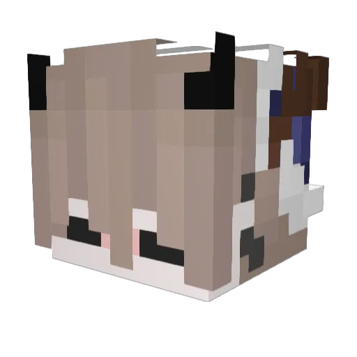 BLADEE1000 Minecraft avatar head, 3D render