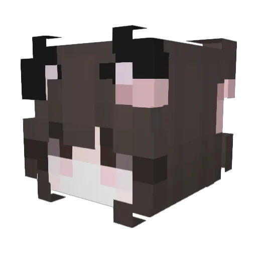 BLADE_cat Minecraft avatar head, 3D render