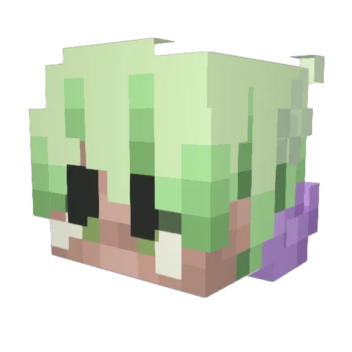 BLANKSINGULARITY Minecraft avatar head, 3D render