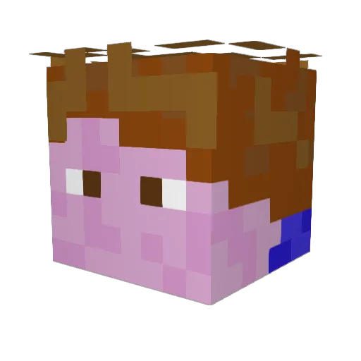 BLENTvanGennip Minecraft avatar head, 3D render