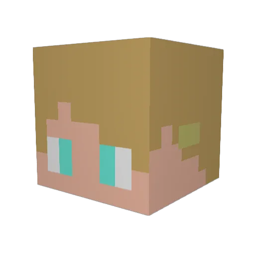 BLIME123 Minecraft avatar head, 3D render