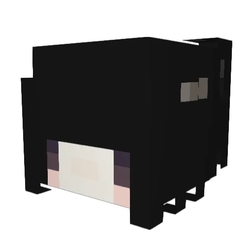 BLININI Minecraft avatar head, 3D render