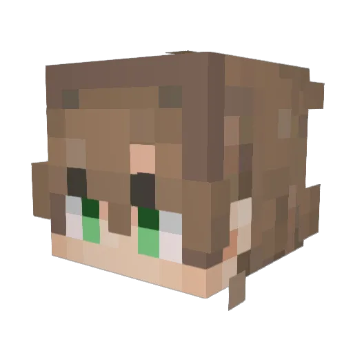 BLISSLESSGARZA Minecraft avatar head, 3D render