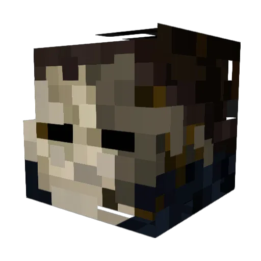 BLITZ1116 Minecraft avatar head, 3D render