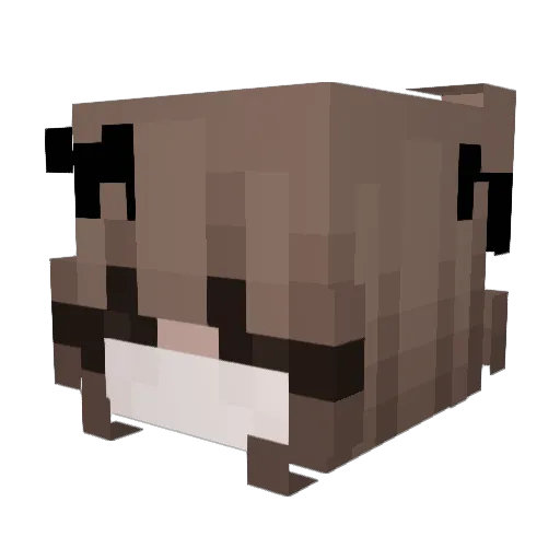BLITZXUHC Minecraft avatar head, 3D render