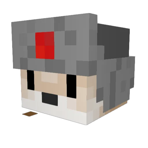 BLNY_Toester Minecraft avatar head, 3D render