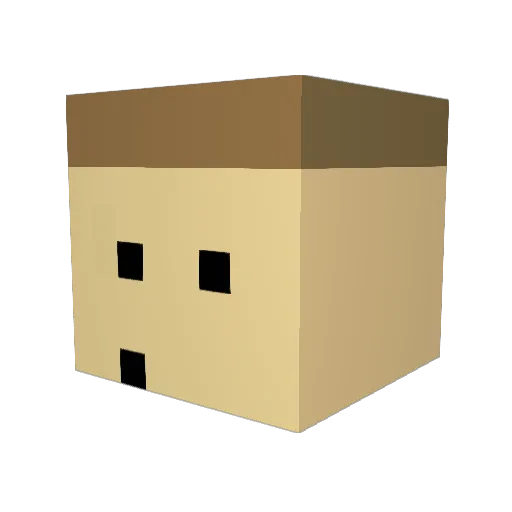 BLOCK222222 Minecraft avatar head, 3D render