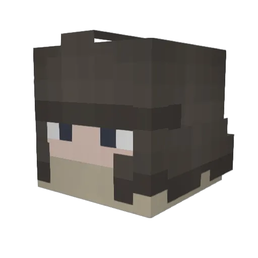 BLOCKKILLER9 Minecraft avatar head, 3D render