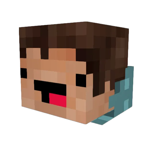 BLOOBERBOY1 Minecraft avatar head, 3D render