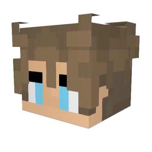 BLOODWOLF Minecraft avatar head, 3D render