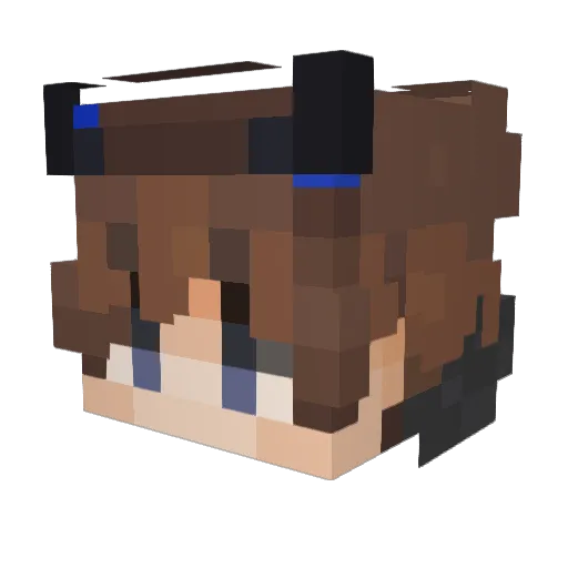 BLT25051 Minecraft avatar head, 3D render