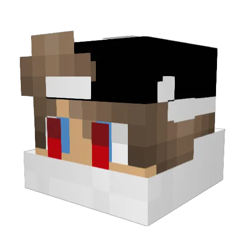 BLT_Tim Minecraft avatar head, 3D render