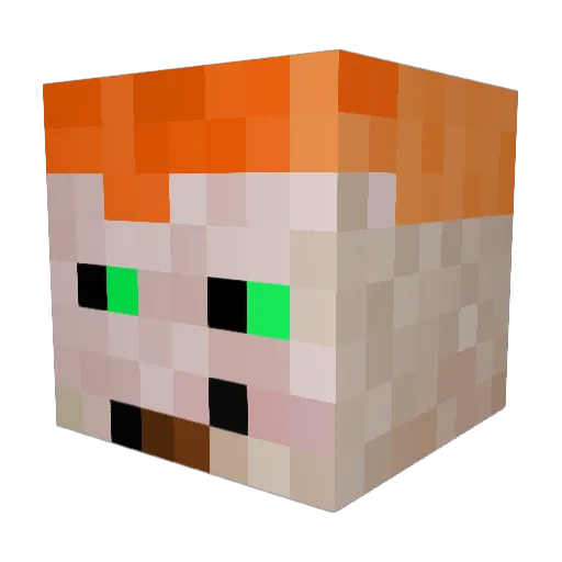 BLUBBERBOY123 Minecraft avatar head, 3D render