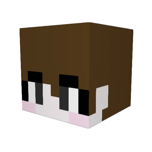 BLUETTEOKBOKKI Minecraft avatar head, 3D render