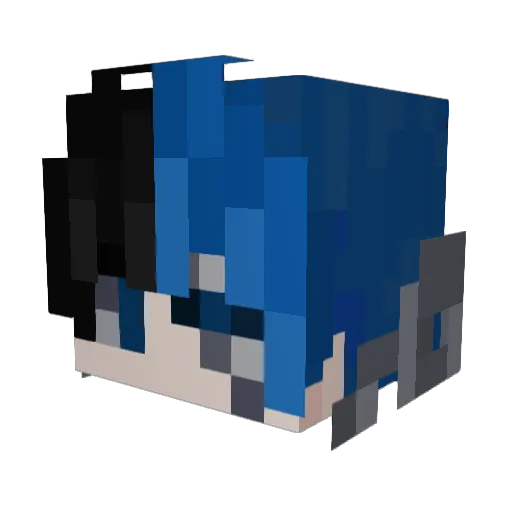 BLUEWOLF1016 Minecraft avatar head, 3D render